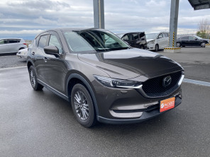 2019 Nissan Note Hybrid DAA-HE12 E POWER B